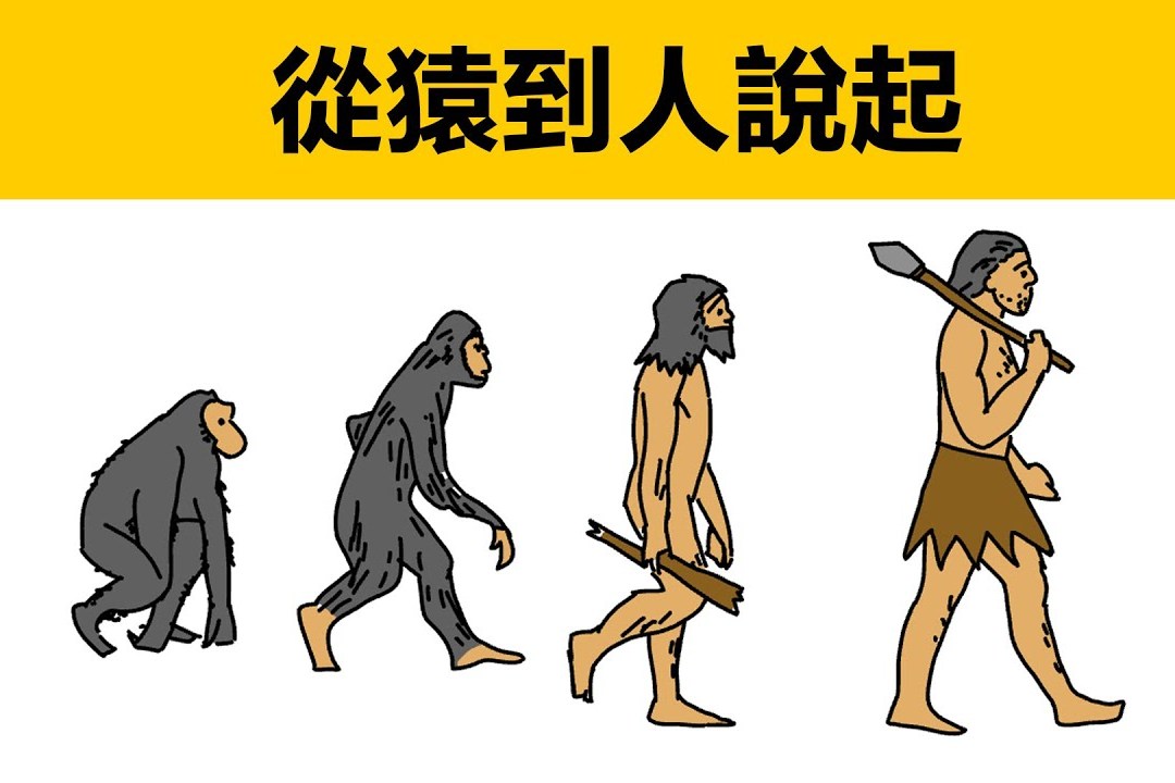 从猿到人,人是怎么从猿进化到人的?最早的国家奴隶国家.