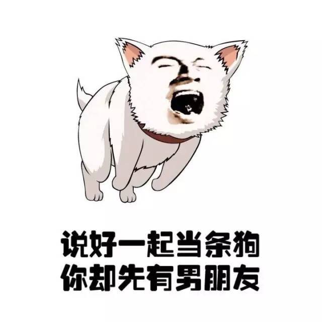 表情包:心疼他的女朋友,年纪轻轻就瞎了