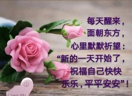 完美祝福语的个人展示页
