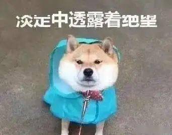 紧急通知!下周乐山这些地方要停电,另外接下来全是雨雨雨.