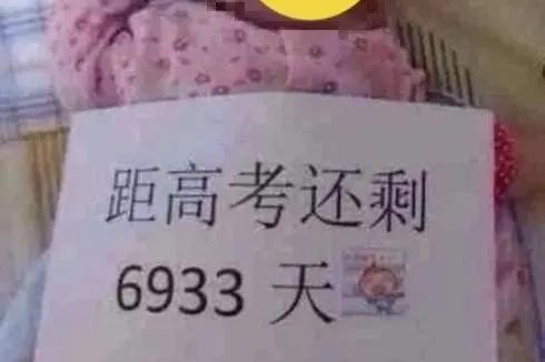 "我女儿半岁,距离高考6933天":教育,让每个家长都"病"了