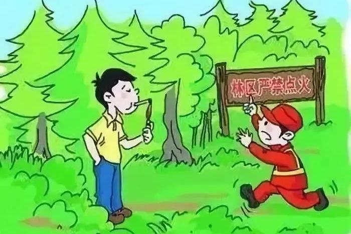 进入6月,天干物燥 牢记森林防火"十不要"