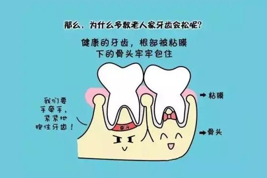 老人牙齿松动怎么办?解读老年口腔保轿篌区