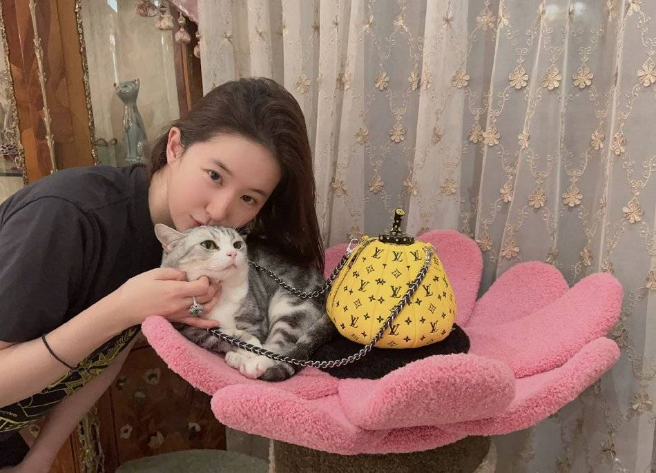 刘亦菲分享日常随拍 素颜撸猫手戴超大祖母绿戒指