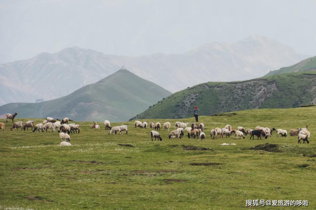 云南人口最早由来_云南少数民族人口排名