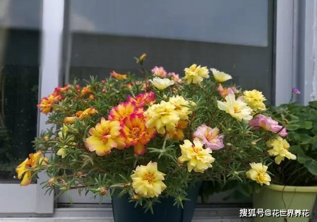 db620079a7cb4556b6aebdd6b0cc3c4b.JPG
