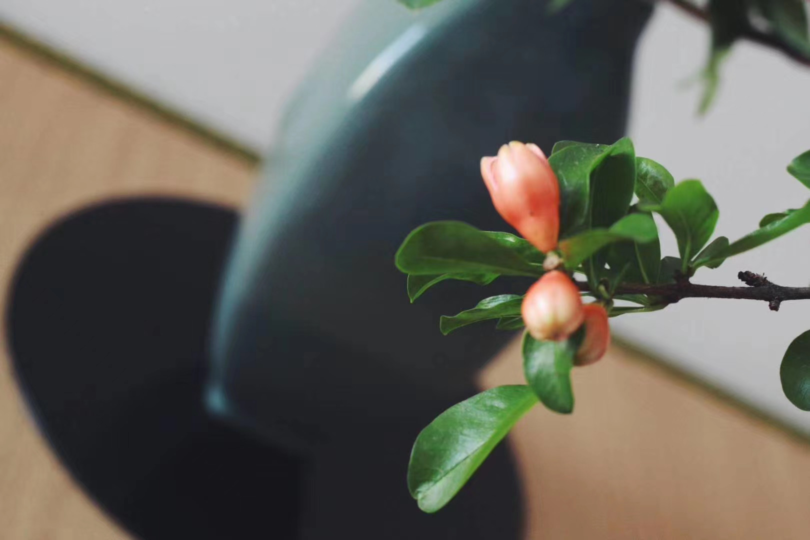 石榴知夏|正是一年插花好时节#小原流蘭印象花道 石榴知夏|正是一年插花好时节#小原流蘭印象花道