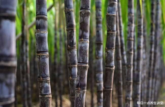 780dfdf902a84e2f897d28cf04456e4e.jpeg