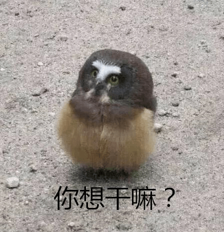 967f984eb52f4a4f83f3e96367c19e3a.png