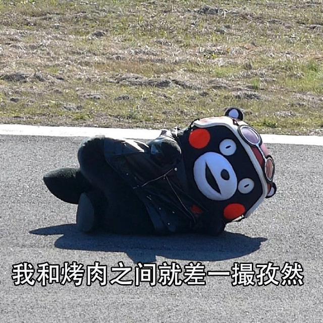 熊本熊关于夏天的表情包|夏天太热了,想找个人冷战一下_蚊子