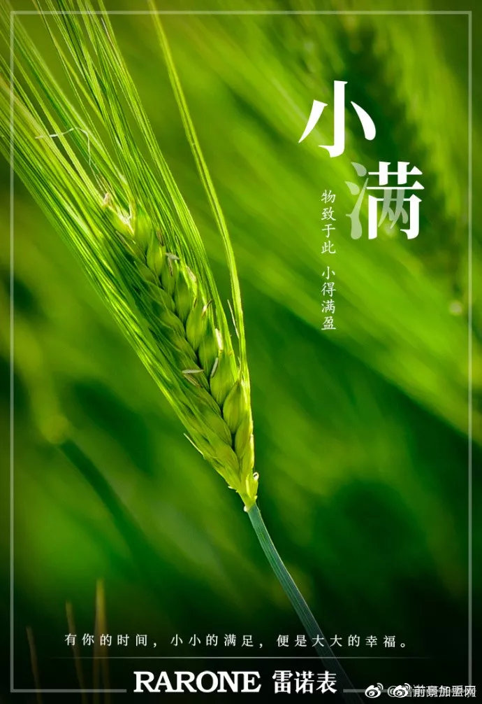 20小满节气海报和文案,夏日的小确幸!