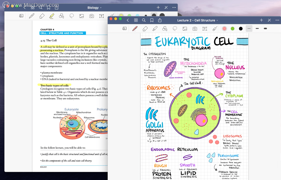 goodnotes软件,goodnotes软件下载 goodnotes 5 for mac(智能手写笔记软件)