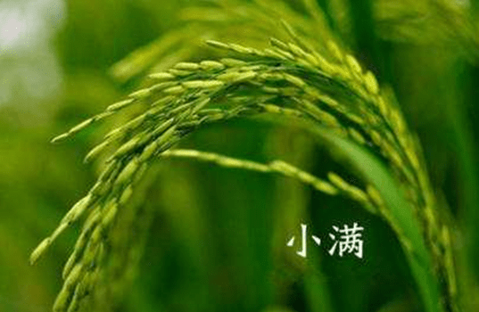 6b4ead661a1246e5b44a64763ef2f722.png