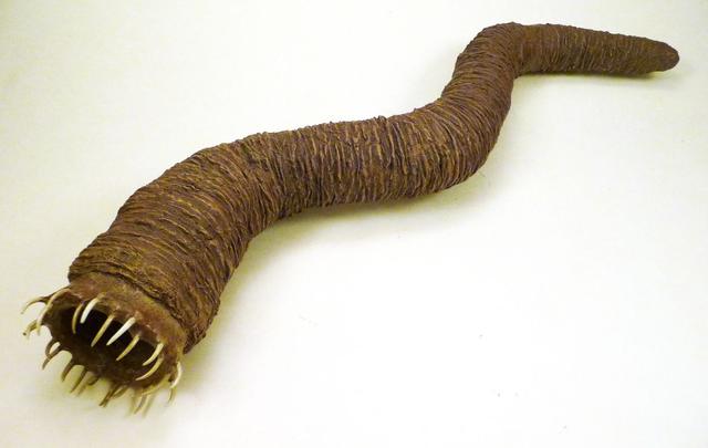500米超大沙漠蠕虫，这头科幻大片《沙丘》中的怪兽值得期待_怪物
