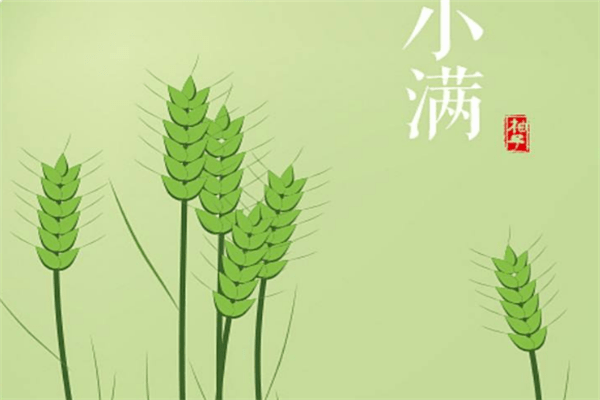 成语满什么蒿莱_米米蒿是什么草图片(3)