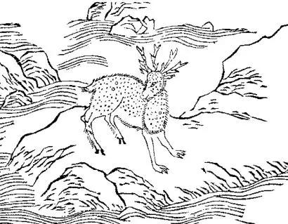 古人配图玃如 jué rú]有兽焉,其状如鹿而白尾,马足人手而四角
