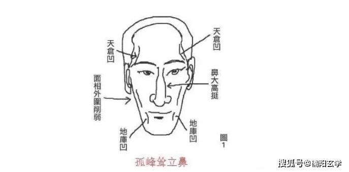 有一种鼻子在面相学中叫孤峰耸立鼻,这种鼻子看上去显得比较高挺大,占