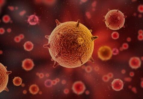 啥是线粒体 3da8705966d941c89d00ec57ad8d01f7.jpeg