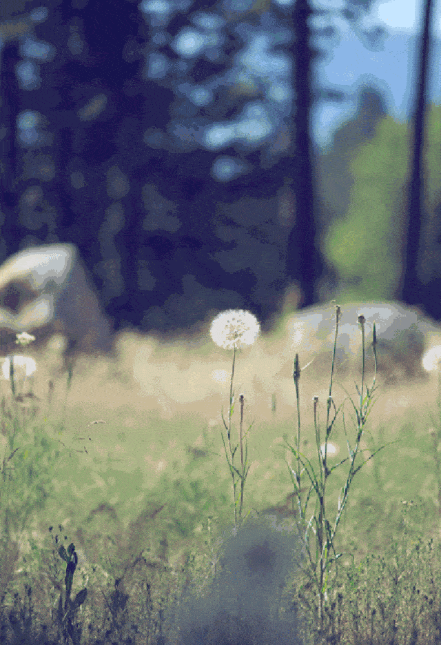 520,致爱我,疼我,陪我的人,有你们真好!