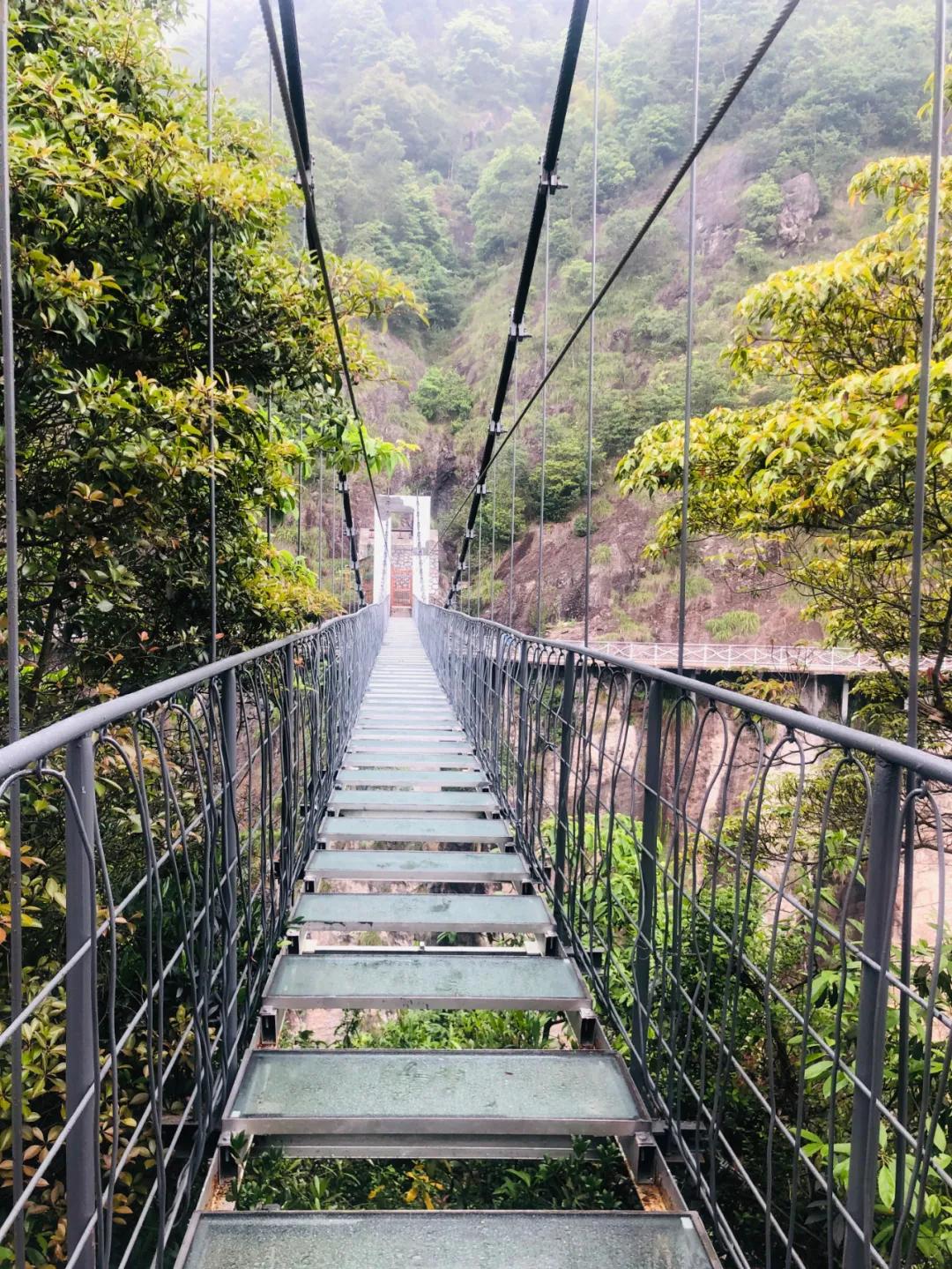 在栈道上探头而下,惊险万分,栈道落差最高的地方还建有 玻璃观景台