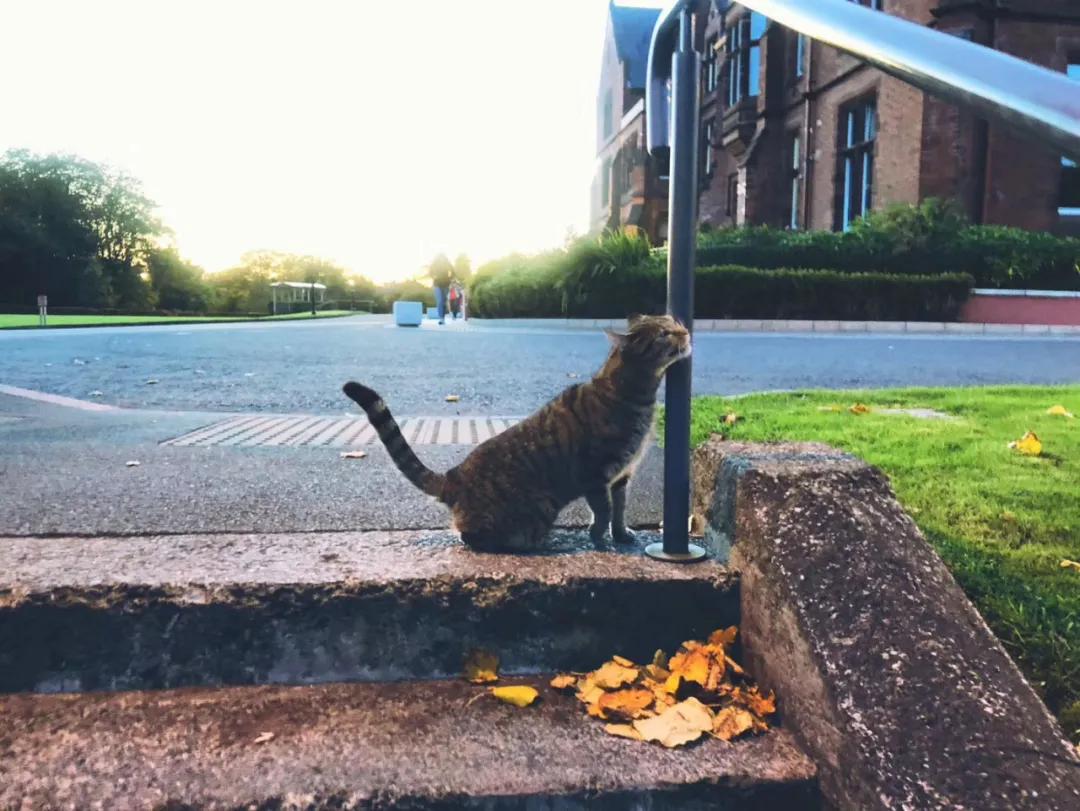 在英国名校遗珠qub学习人类学，是一种怎样的体验？