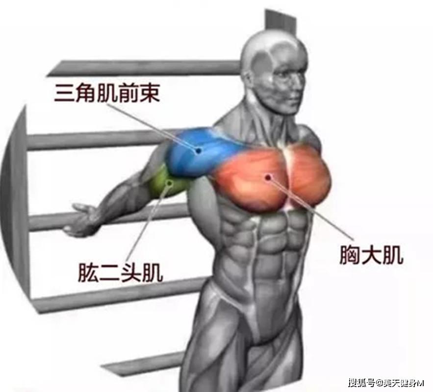 1481d80a1b6242779a6dd50fe0dcae08.jpeg