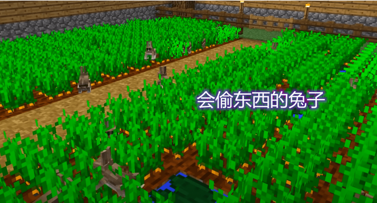 我的世界:兔子的颜色跟生物群落有关?冰原是白色,生物