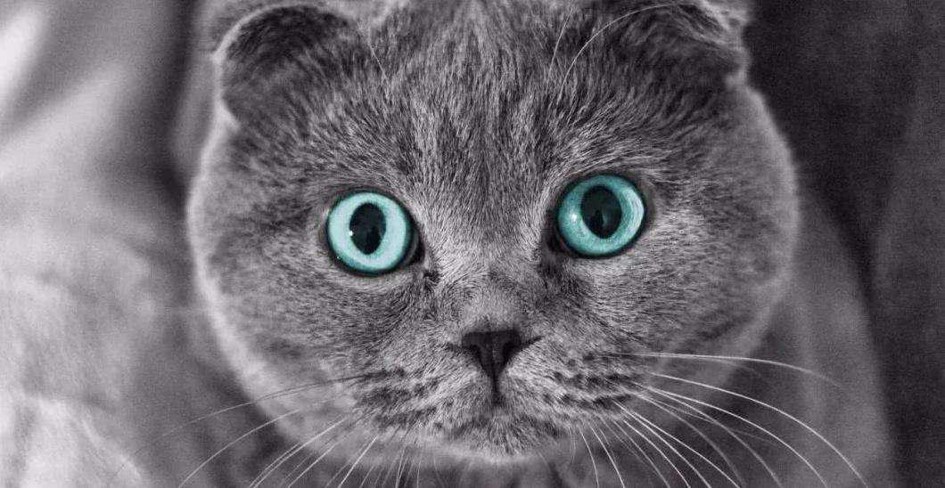 71f08868c1e4435f867e3521497d6614.jpeg