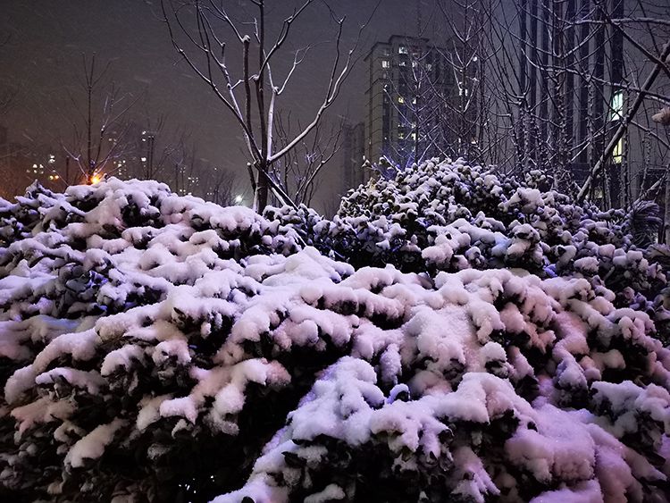 2020黑龙江省位次排名2020中国百强中学排名出炉!黑龙江2所高中上榜!