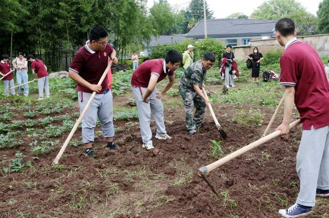 这里是严州中学劳动教育实践基地——农耕园