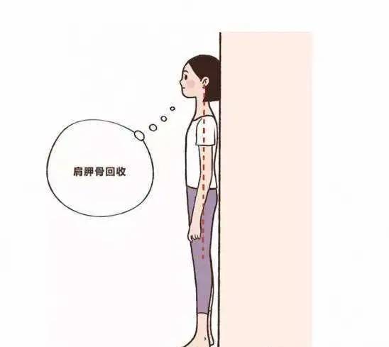 有什么方法可以减肥的 8effe8196d96427eb0fa076b409c1f33.jpeg