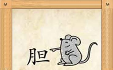 筷子和鸡猜成语_筷子卡通图片(3)