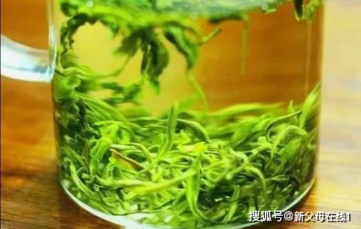 陈运超：陈运超：能否建立未就业大学生的收储制度？