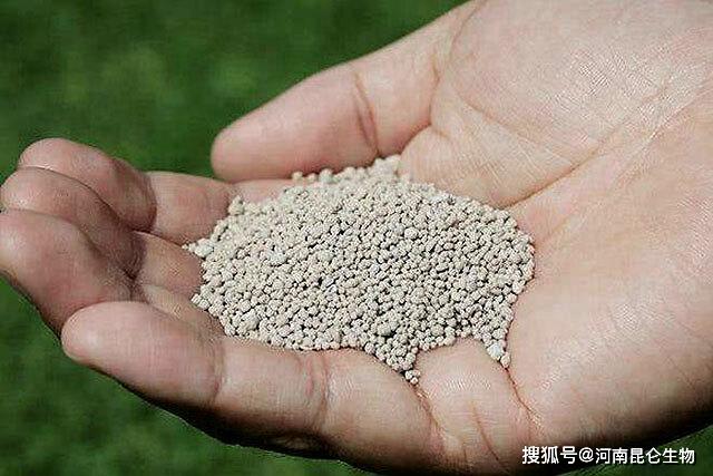 什么土是酸性和碱性 974919dd2844498e9dd80ebb1a85719e.jpeg