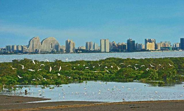 北海市GDP2020_北海市地图(2)