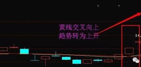 0babf6139d394cc48d228dbedbc440d5.jpeg