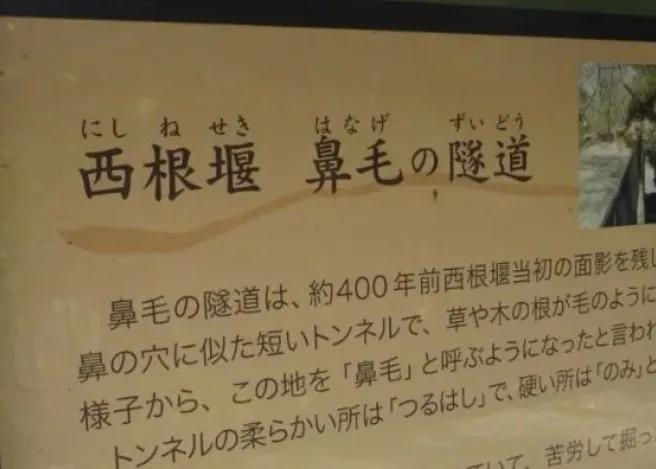 为什么那么多人在学日语 你的日语什么水平 不会也是塑料日语吧 日本