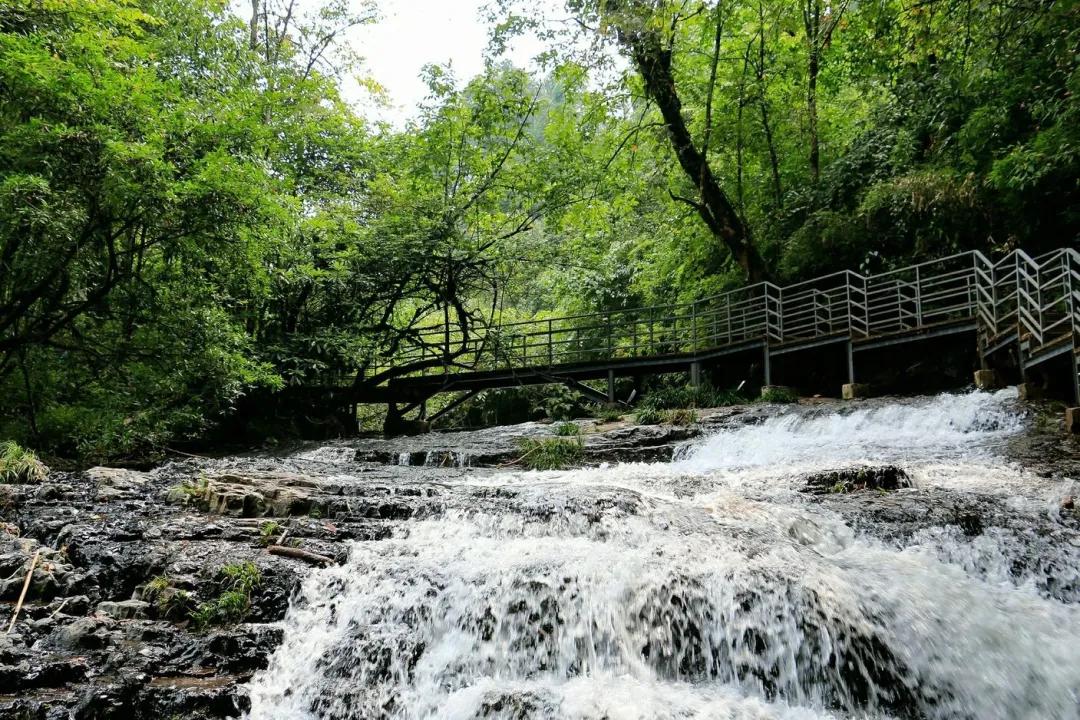 雅安精品自驾游线路 龙苍沟叠翠溪景区 花海果乡景区 汉源湖 轿顶山