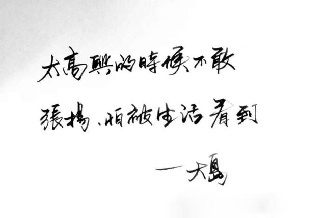 不醉不归简谱_不醉不归图片(2)