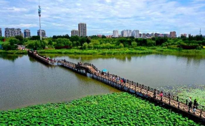 盘锦的经济总量_盘锦红海滩(3)