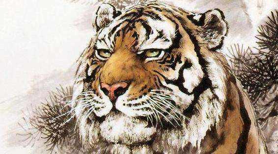 小老虎对自己的实力一无所知 85ea2f90f5cb4095a53e29d049dc5706.jpeg