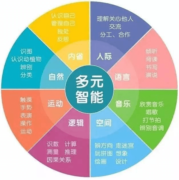 逻辑智能,空间智能,身体运动智能,音乐智能,人际智能,自我认知智能