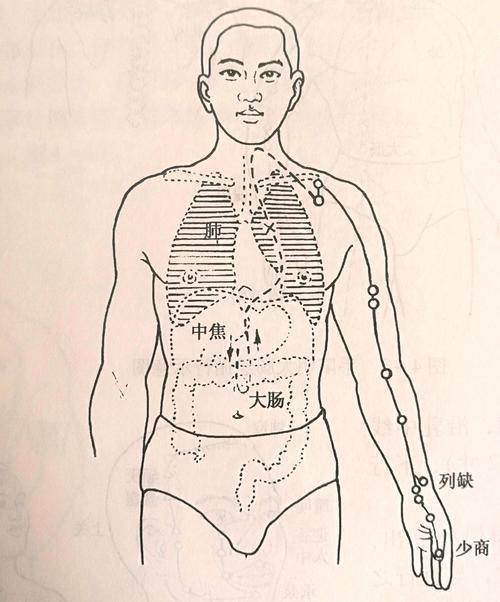 养生时间24小时 4be2b12292774972a4c647be47e92f33.jpeg