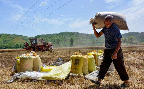 国家|为何粮价40年只涨5倍,工资却涨了100倍?