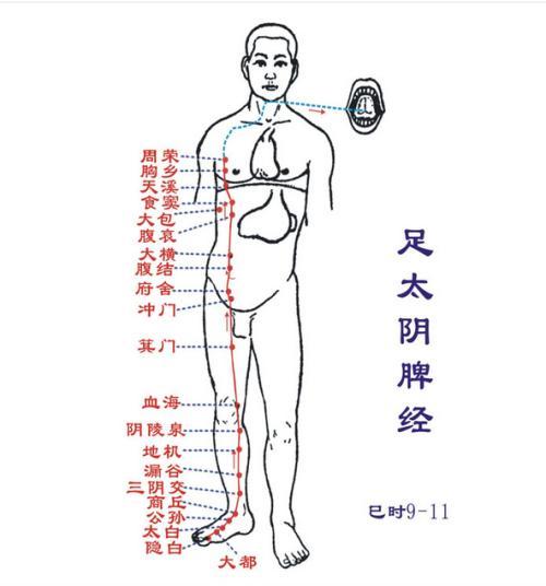 24小时最全面养生经络时辰表