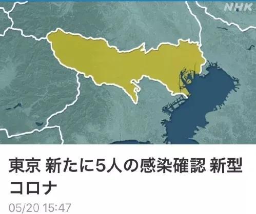 日本2020gdp疫情_疫情期间gdp变化图(2)