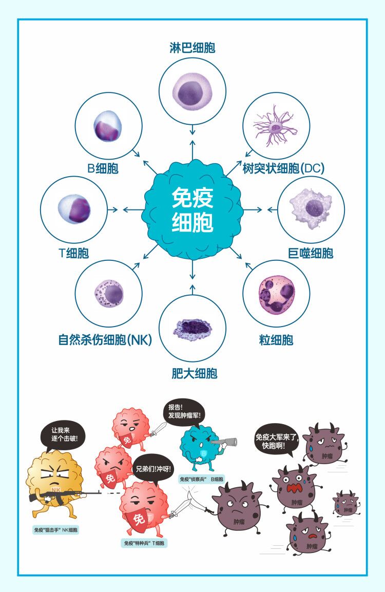 癌症发病率每年5递增可怕如何抵御免疫细胞给出了答案