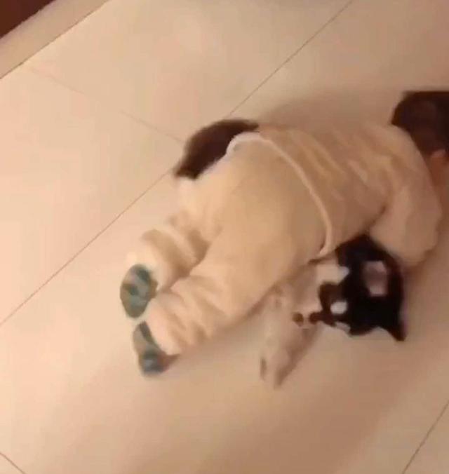 『小狗』网友笑称：很公平，双方家长都没插手妈妈放任宝宝与小狗崽打闹