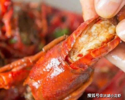 龙虾吃龙虾怎么回事 e328075320194bfbb64d1192bac0b160.jpeg