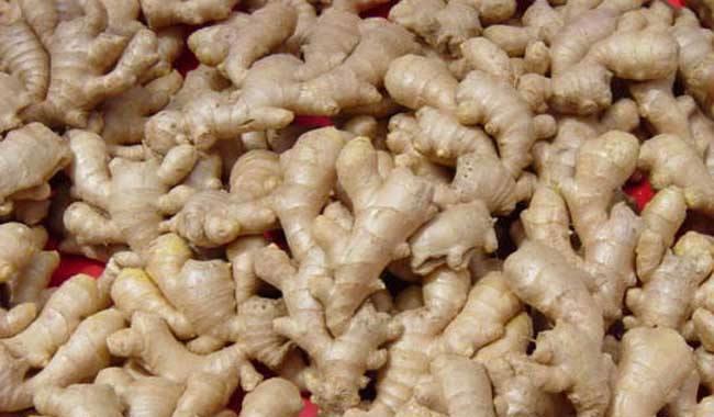 怎么吃生姜养胃 fb32657194ce410285860fecf7672d45.jpeg